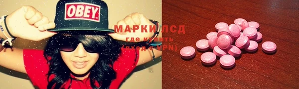 прущие крисы Алзамай