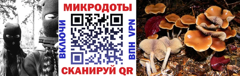 Псилоцибиновые грибы ЛСД гидра сайт Полярные Зори