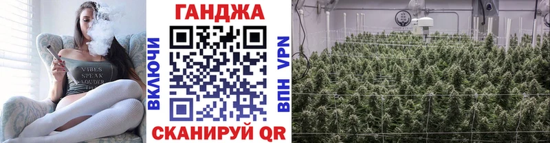 Шишки марихуана семена Полярные Зори